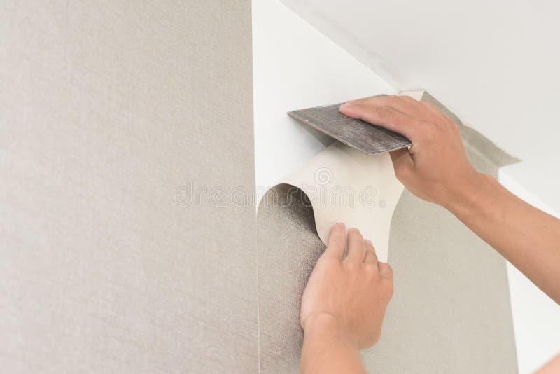 Wallpaper Installation Process
